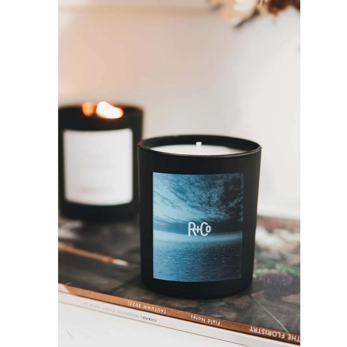 R+Co Dark Waves Scented Candle - 9.0 oz