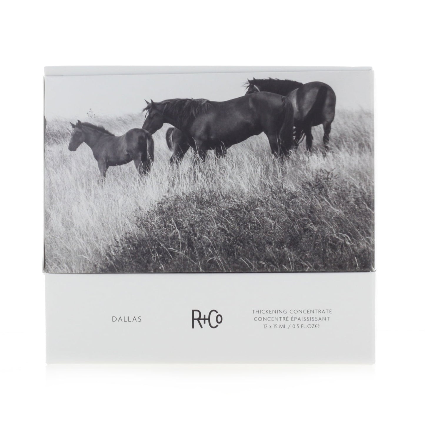 R+Co Dallas Thickening Concentrate - 12 x 0.5oz